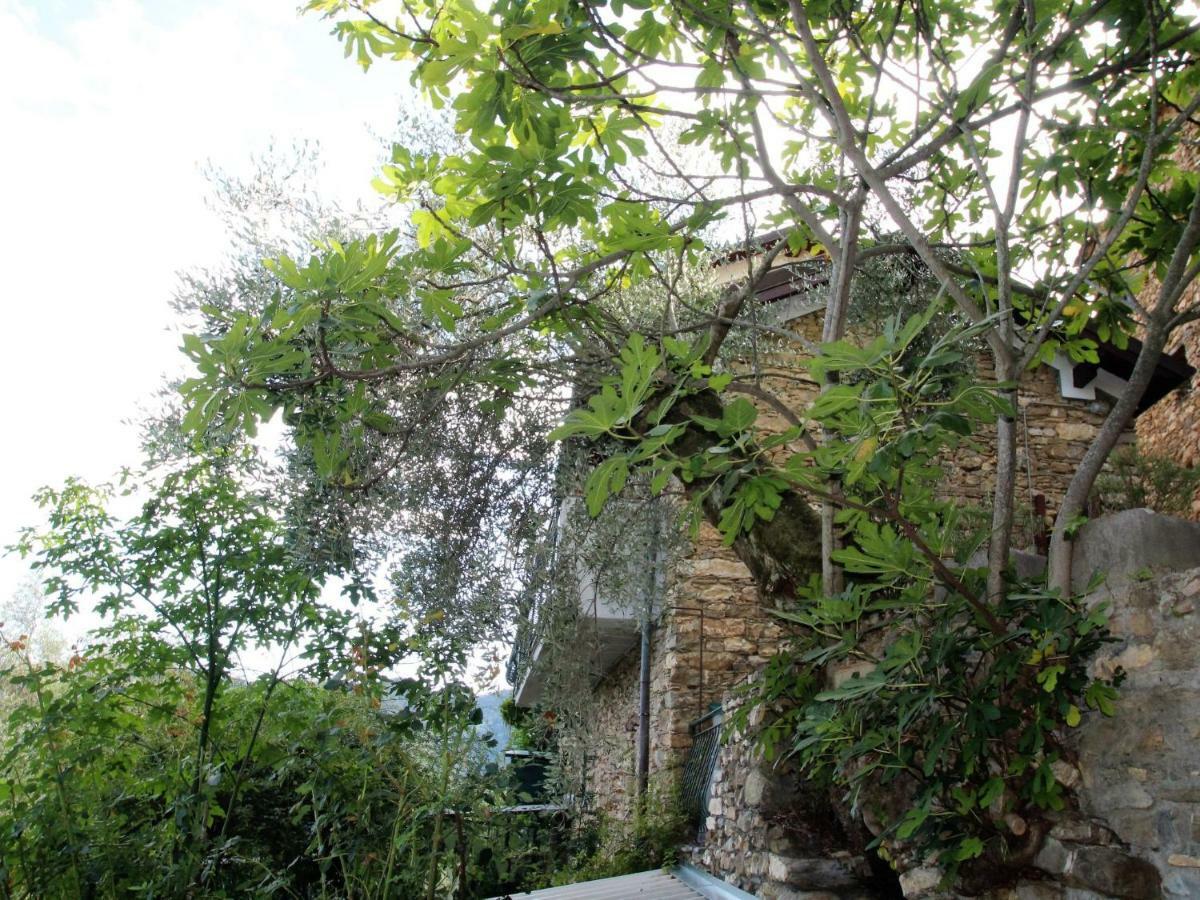 Holiday Home Mes Mas By Interhome Stellanello Bagian luar foto