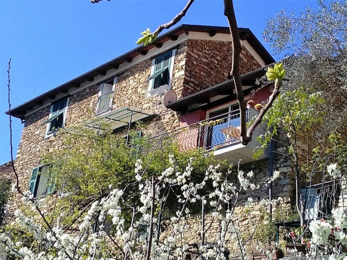 Holiday Home Mes Mas By Interhome Stellanello Bagian luar foto